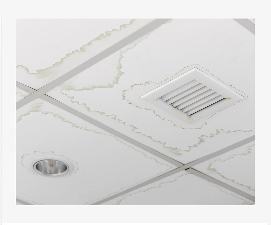 Water Leakage